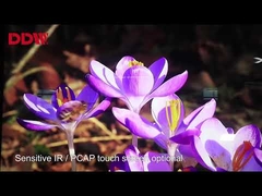 Signage fixé au mur de Digital d'écran tactile de service d'individu annonçant 1920x1080 42 pouces