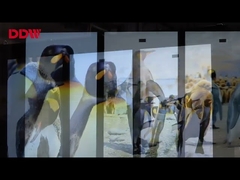 signage numérique extérieur